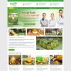 Theme WordPress bán sản phẩm tinh bột nghệ
