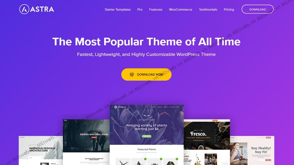 theme blog wordpress đẹp