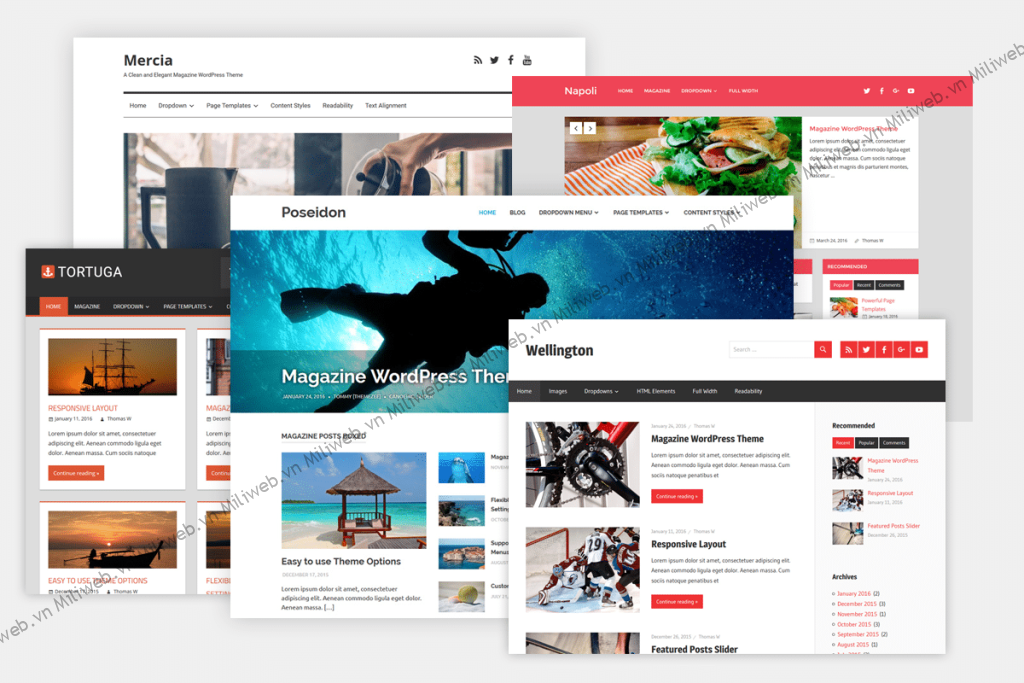 Theme WordPress là bộ tệp quy định cách hiển thị website