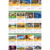 Theme wordpress du lịch 14 giá rẻ