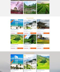 Theme wordpress du lịch 4 giá rẻ