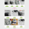 Theme wordpress shop bán lông my giả