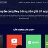 Theme Wordpress bán sản phẩm số Flatsome