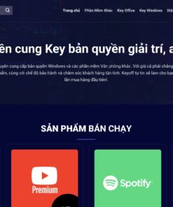 Theme Wordpress bán sản phẩm số Flatsome
