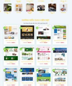 Theme wordpress công ty thiết kế web 7
