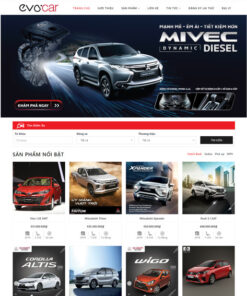 Evo Car