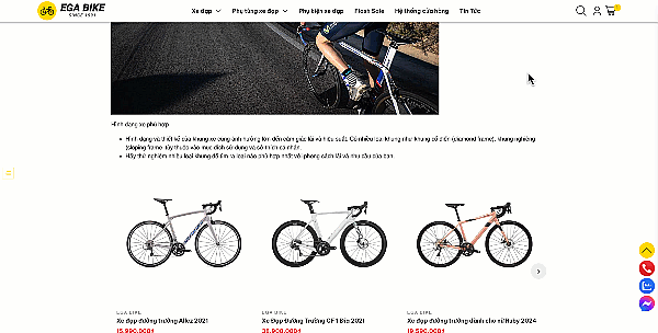 EGA Bike