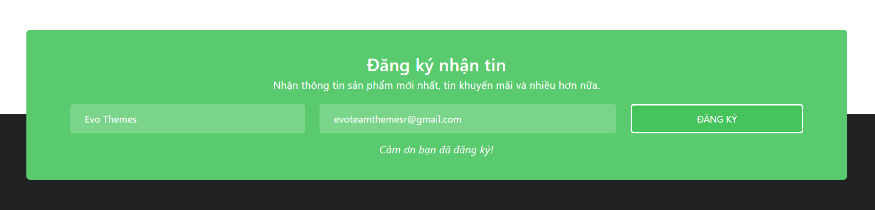 mailchimp Evo Services Mailchimp