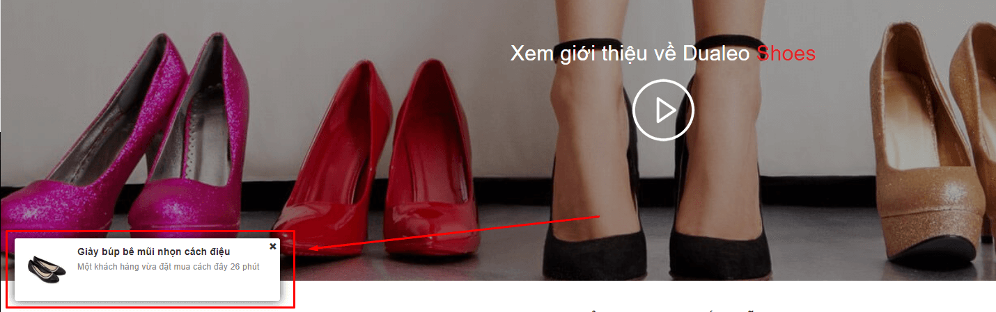Dualeo Shoes