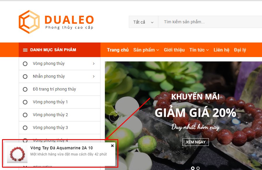 pt6 DuaLeo Phong Thủy